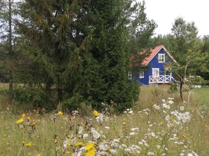 Swiety Spokoj Laka I Woda Pozezdrze Dış mekan fotoğraf