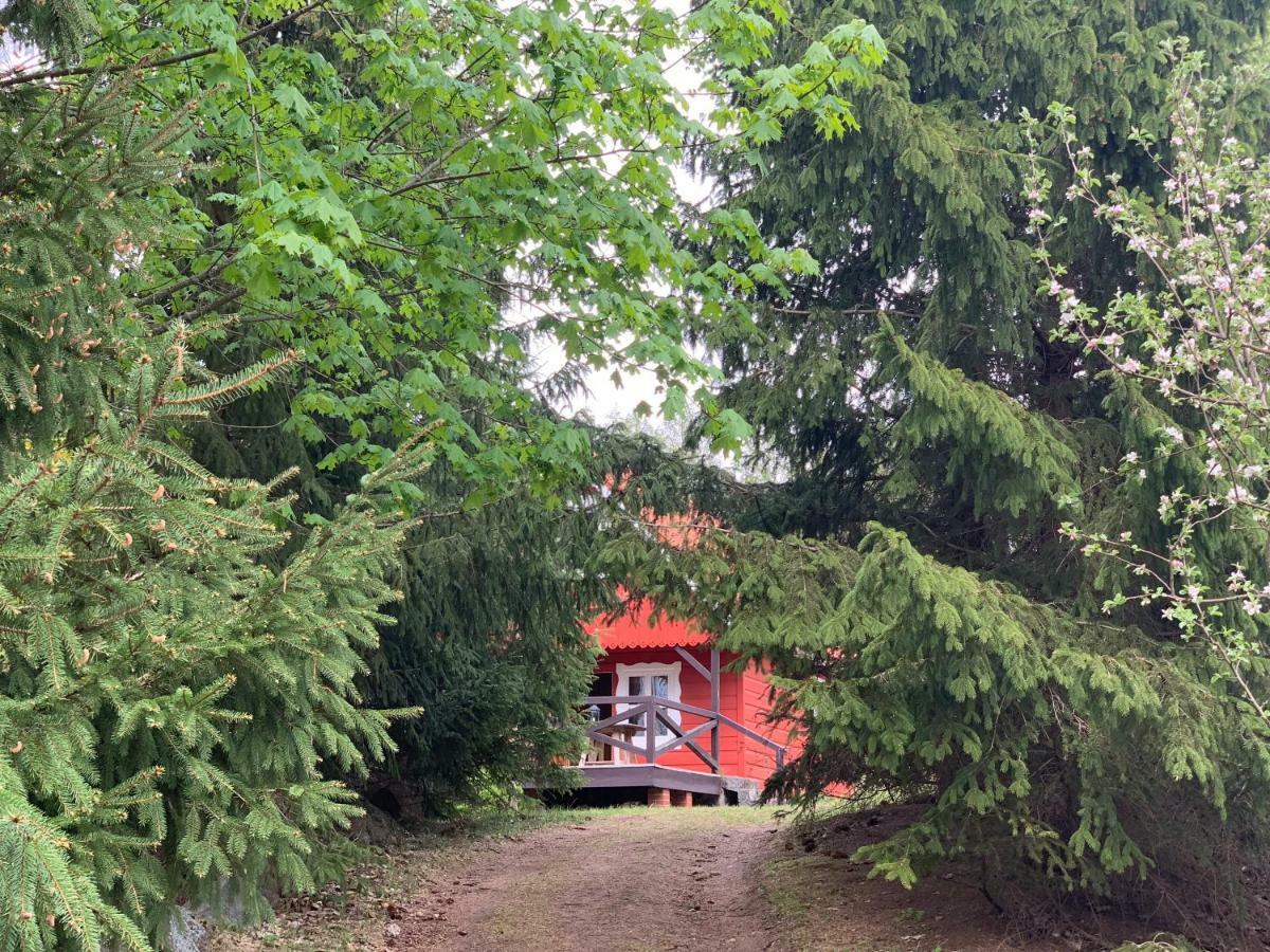 Swiety Spokoj Laka I Woda Pozezdrze Dış mekan fotoğraf